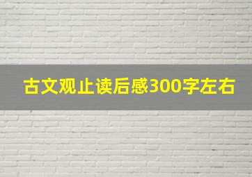 古文观止读后感300字左右