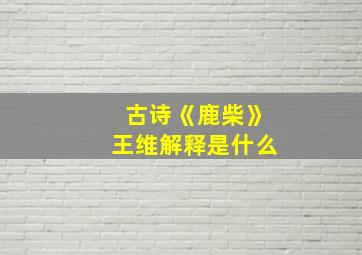 古诗《鹿柴》王维解释是什么