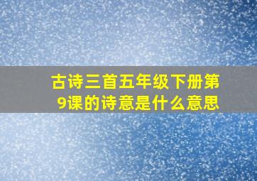 古诗三首五年级下册第9课的诗意是什么意思