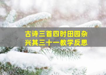 古诗三首四时田园杂兴其三十一教学反思