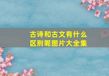 古诗和古文有什么区别呢图片大全集