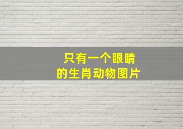 只有一个眼睛的生肖动物图片