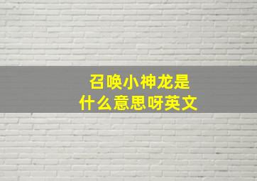 召唤小神龙是什么意思呀英文