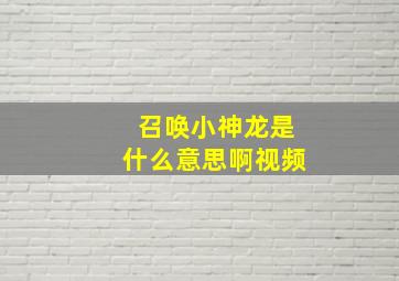 召唤小神龙是什么意思啊视频