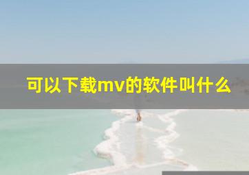 可以下载mv的软件叫什么