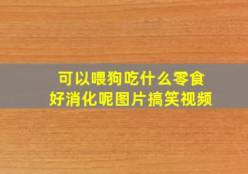 可以喂狗吃什么零食好消化呢图片搞笑视频