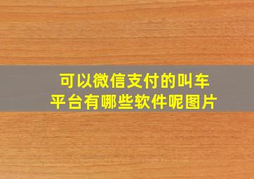 可以微信支付的叫车平台有哪些软件呢图片