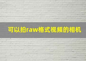 可以拍raw格式视频的相机