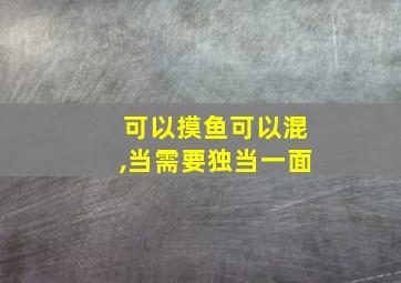 可以摸鱼可以混,当需要独当一面