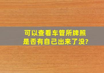 可以查看车管所牌照是否有自己出来了没?