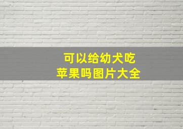 可以给幼犬吃苹果吗图片大全