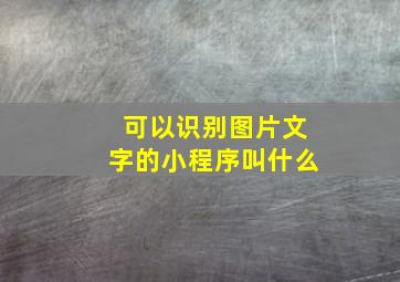 可以识别图片文字的小程序叫什么