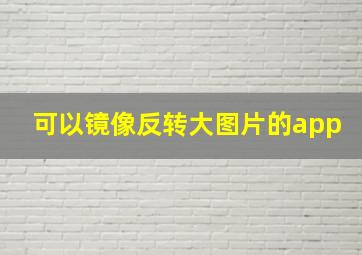 可以镜像反转大图片的app