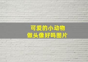 可爱的小动物做头像好吗图片