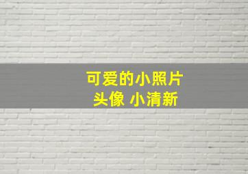 可爱的小照片 头像 小清新