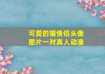 可爱的猫情侣头像图片一对真人动漫