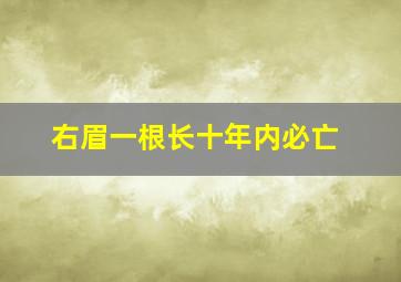 右眉一根长十年内必亡