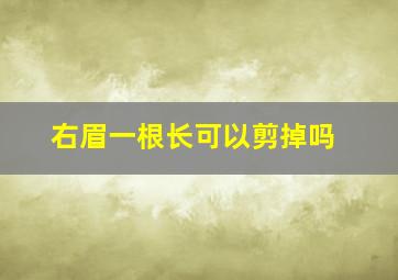 右眉一根长可以剪掉吗