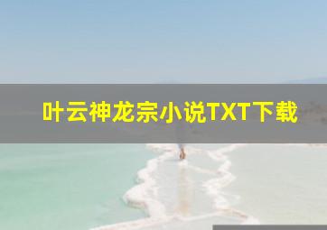 叶云神龙宗小说TXT下载