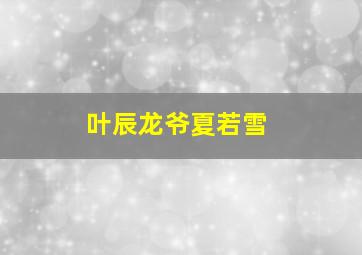 叶辰龙爷夏若雪