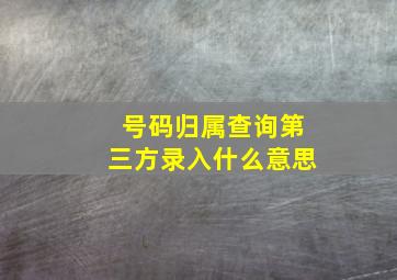 号码归属查询第三方录入什么意思