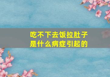 吃不下去饭拉肚子是什么病症引起的