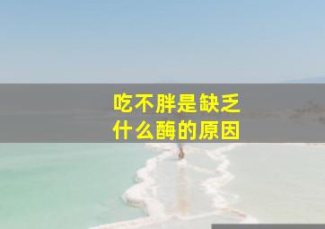 吃不胖是缺乏什么酶的原因