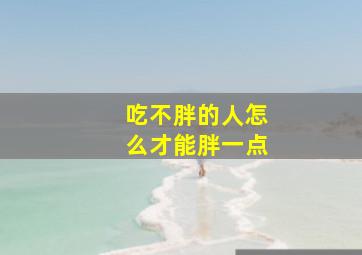 吃不胖的人怎么才能胖一点