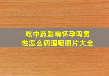 吃中药影响怀孕吗男性怎么调理呢图片大全