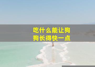 吃什么能让狗狗长得快一点