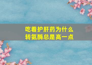 吃着护肝药为什么转氨酶总是高一点