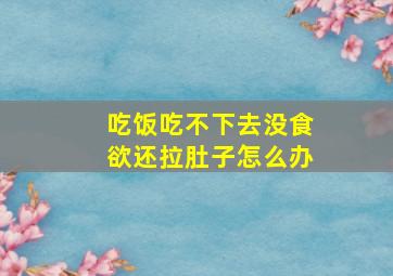 吃饭吃不下去没食欲还拉肚子怎么办