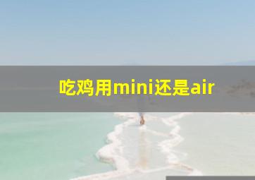 吃鸡用mini还是air