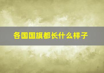 各国国旗都长什么样子