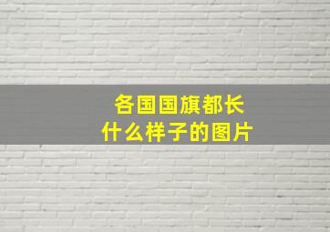 各国国旗都长什么样子的图片