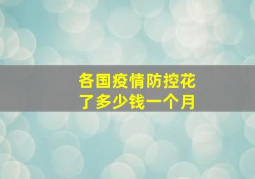 各国疫情防控花了多少钱一个月