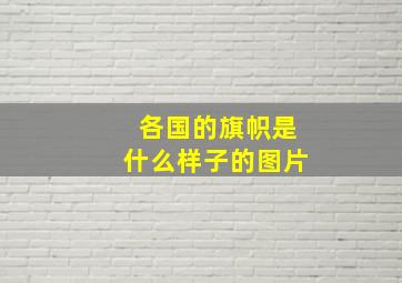 各国的旗帜是什么样子的图片