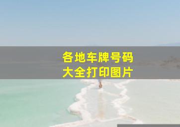 各地车牌号码大全打印图片