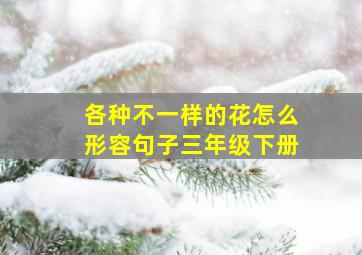 各种不一样的花怎么形容句子三年级下册