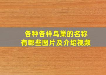 各种各样鸟巢的名称有哪些图片及介绍视频