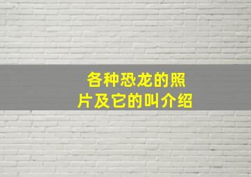 各种恐龙的照片及它的叫介绍