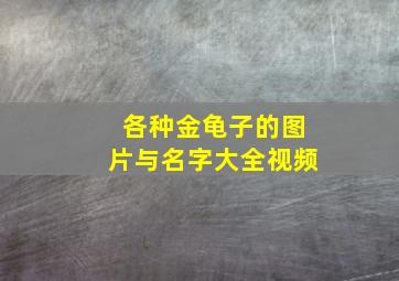 各种金龟子的图片与名字大全视频