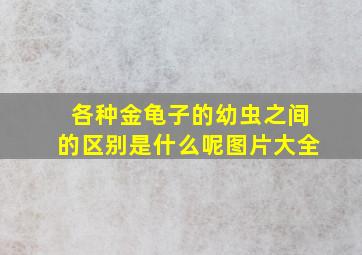 各种金龟子的幼虫之间的区别是什么呢图片大全