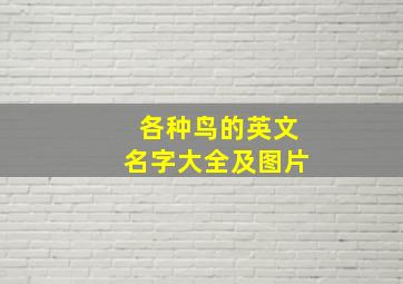 各种鸟的英文名字大全及图片