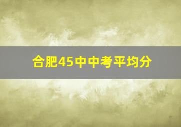 合肥45中中考平均分