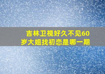 吉林卫视好久不见60岁大姐找初恋是哪一期