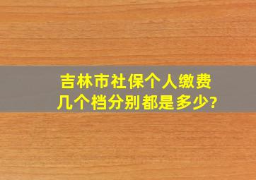 吉林市社保个人缴费几个档分别都是多少?