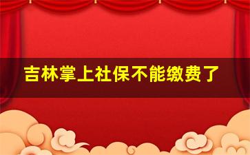 吉林掌上社保不能缴费了