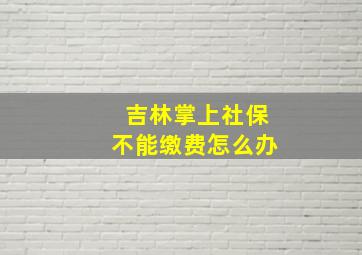 吉林掌上社保不能缴费怎么办