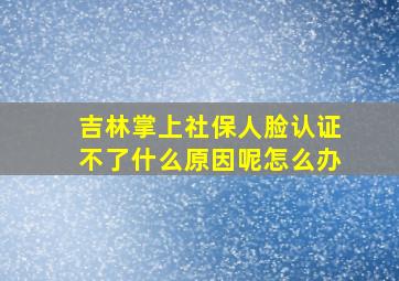 吉林掌上社保人脸认证不了什么原因呢怎么办